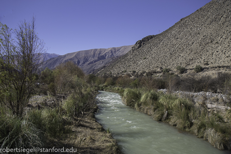 elqui